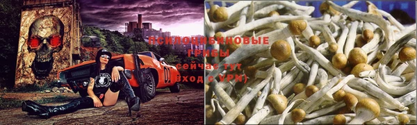 2c-b Тихорецк
