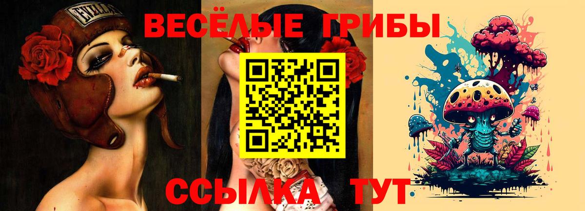 Псилоцибиновые грибы мухоморы  Вход с VPN  Черемхово 