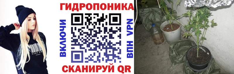Конопля OG Kush Черемхово